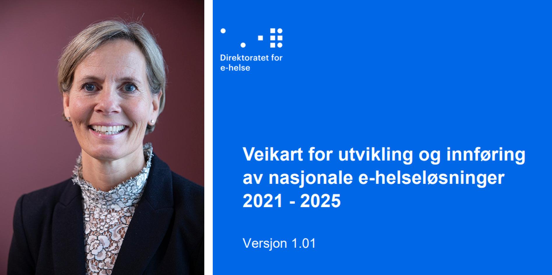 Veikartet vil kunne bidra inn i vårt arbeid med å tydeliggjøre apotekbransjens ambisjon, strategi og mål innen e-helse, sier Anne-Lise Härter, direktør for e-helse i Apotekforeningen.