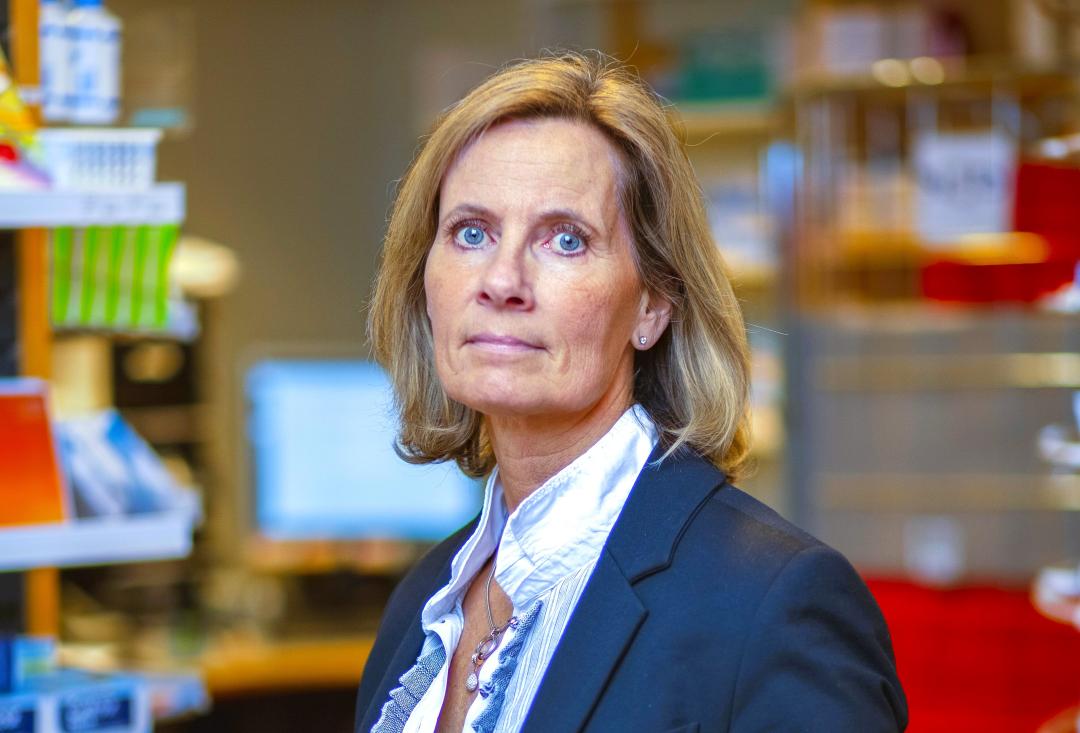 Bilde av Anne-Lise Härter